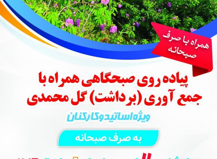 گزارش تصویری پیادهروی صبحگاهی همراه با جمعآوری (برداشت) گل محمدی