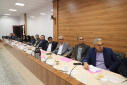 نشست هم اندیشی استانی در خصوص گرد و غبار و تالاب بین المللی هامون به میزبانی دانشگاه زابل