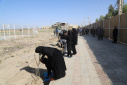 گزارش تصویری گرامیداشت روز درختکاری در دانشگاه زابل