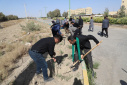 گزارش تصویری گرامیداشت روز درختکاری در دانشگاه زابل